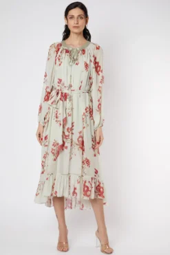 Adah Mint Green & Red Printed Dress