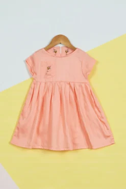 Ambar Pink Embroidered Dress For Girls