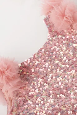 BYB PREMIUM Blush Pink Embellished Dress For Girls -AOZA Wear Style Shop BYBC042279 4