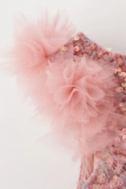 BYB PREMIUM Blush Pink Embellished Dress For Girls -AOZA Wear Style Shop BYBC042279 5