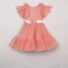 BYB PREMIUM Peachy Pink Embellished Dress For Girls
