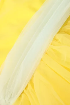 BYB PREMIUM Yellow Tulle Dress For Girls -AOZA Wear Style Shop BYBC042282 4