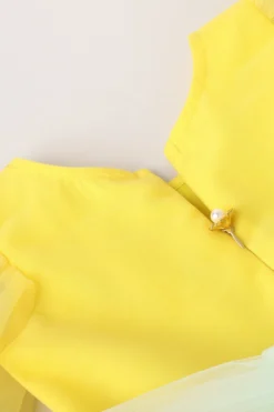 BYB PREMIUM Yellow Tulle Dress For Girls -AOZA Wear Style Shop BYBC042282 6