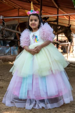 Casa Ninos Multi-Colored Embroidered Dress For Girls