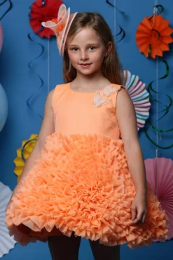 Casa Ninos Orange Organza Frilled Dress For Girls