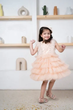Hoity Moppet Peach Tulle Frilled Dress For Girls -AOZA Wear Style Shop HOITY052214 3 scaled